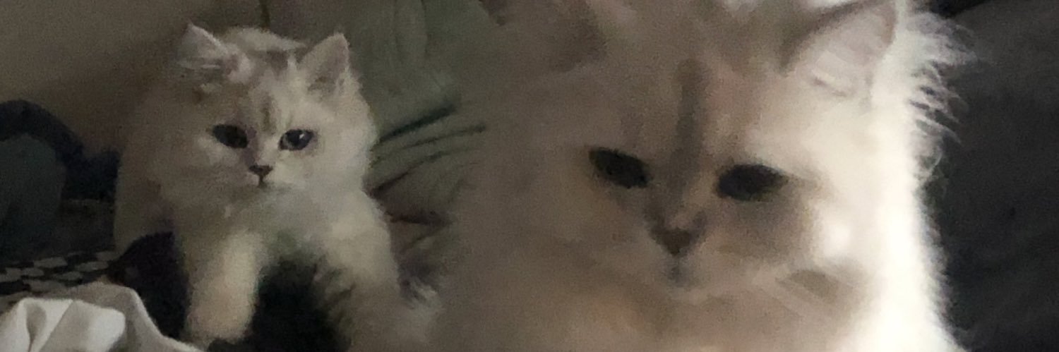 BBL_3_'s banner