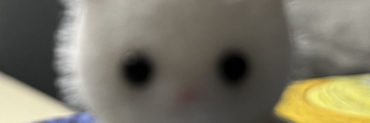 dummie banner