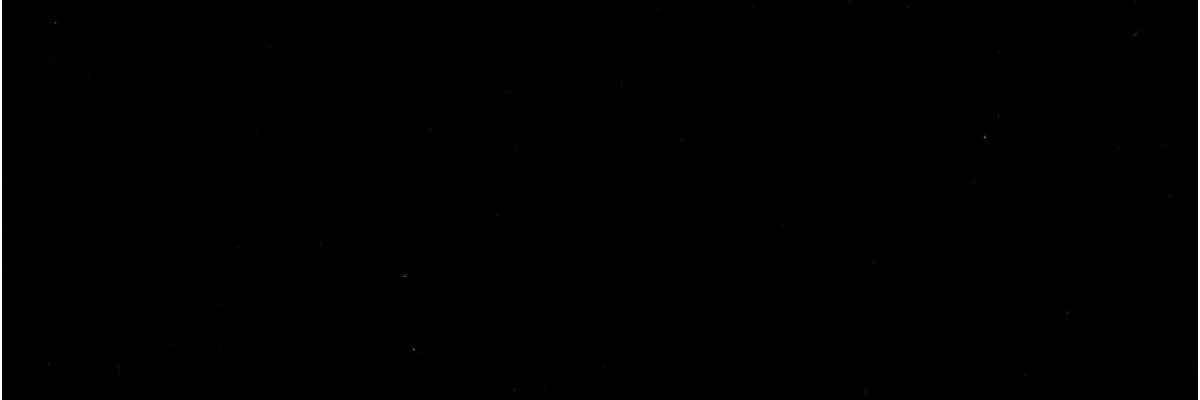 Michael L. Vous Særkjær banner