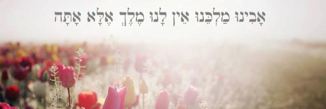 mookhrd banner