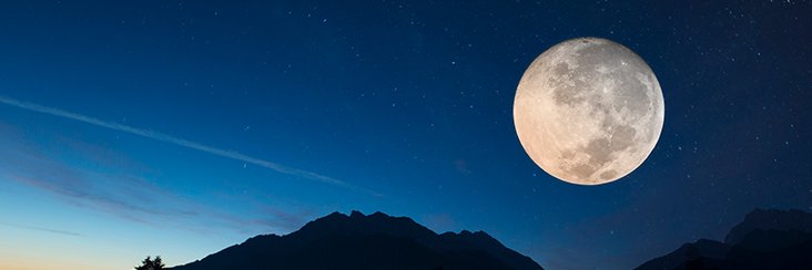 crypto_legolas's profile banner image