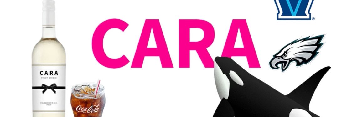 cararegan's profile banner image