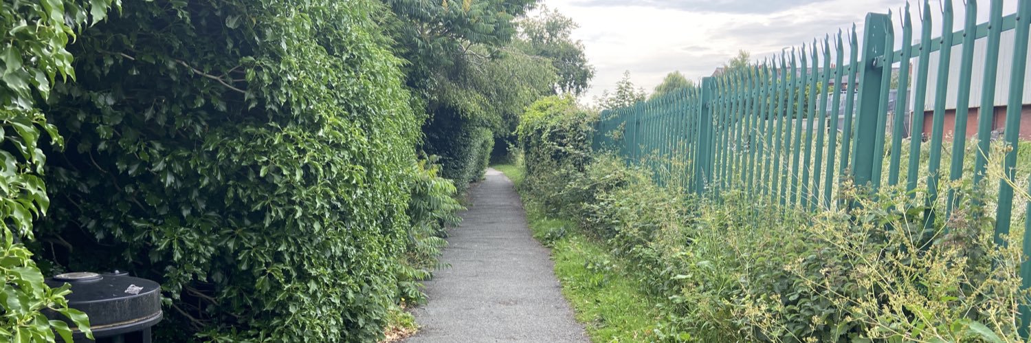 Elizabeth Macglashan banner