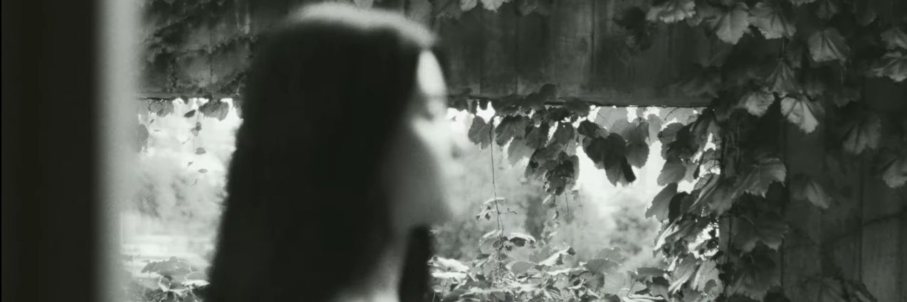 dumplash's profile banner image