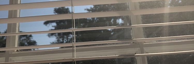 Cielaa's profile banner image