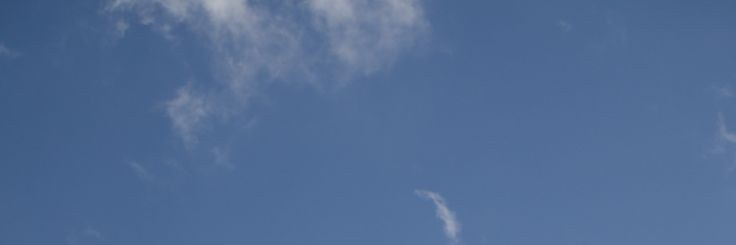 Ⓕⓛⓤⓕⓕⓢⓗⓘ banner