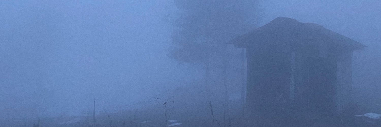 bingolk's profile banner image