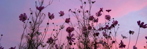 AgusMastroeni's profile banner image
