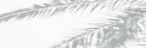 mxx_dg's profile banner image