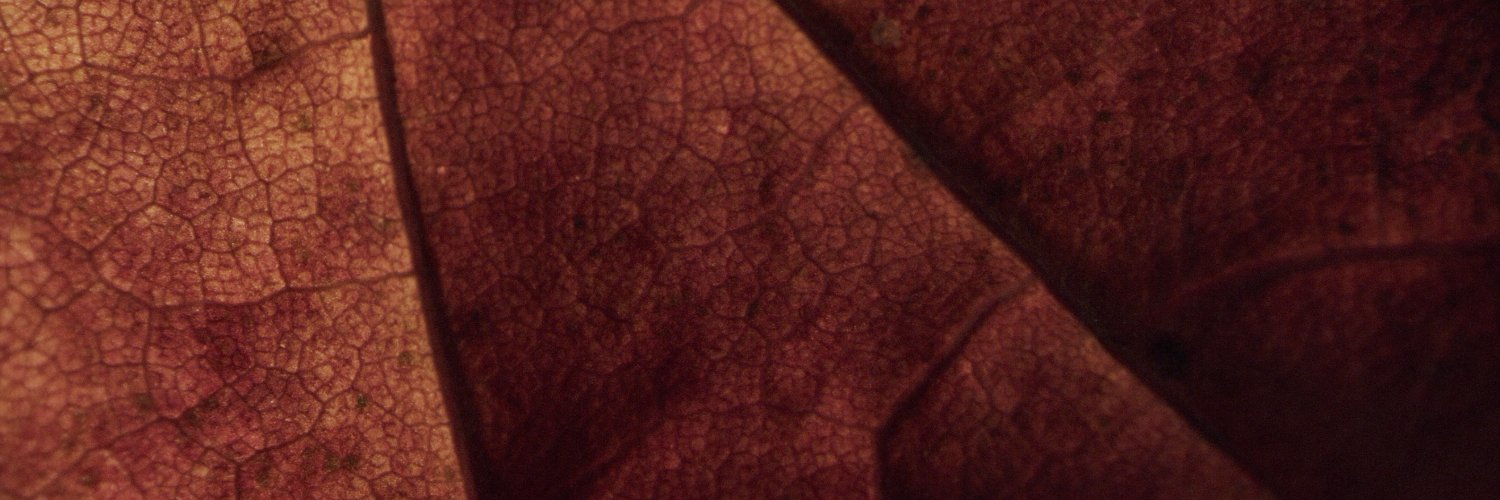 huminteractive banner