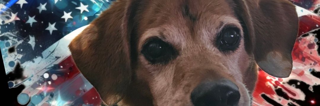 Camden's Chronicles banner