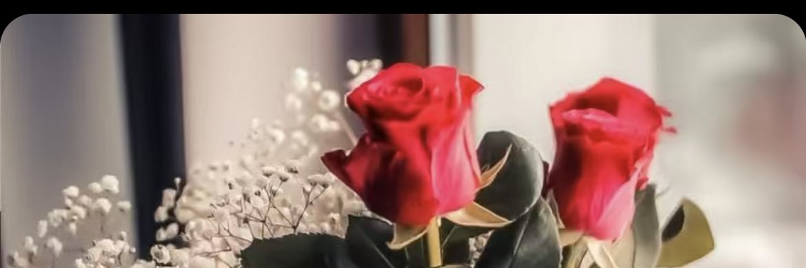 Meera55550's profile banner image