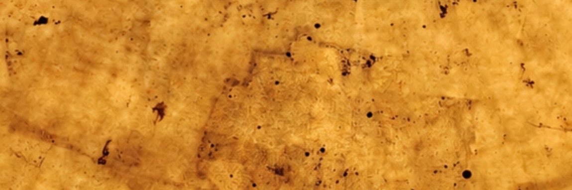 jolubariv's profile banner image