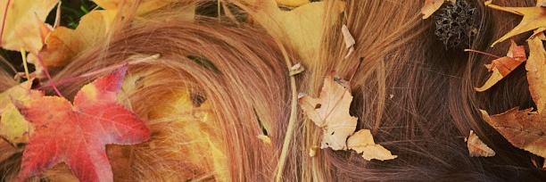 NAlcaide's profile banner image