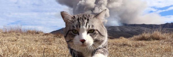 damby1004 Profile Banner