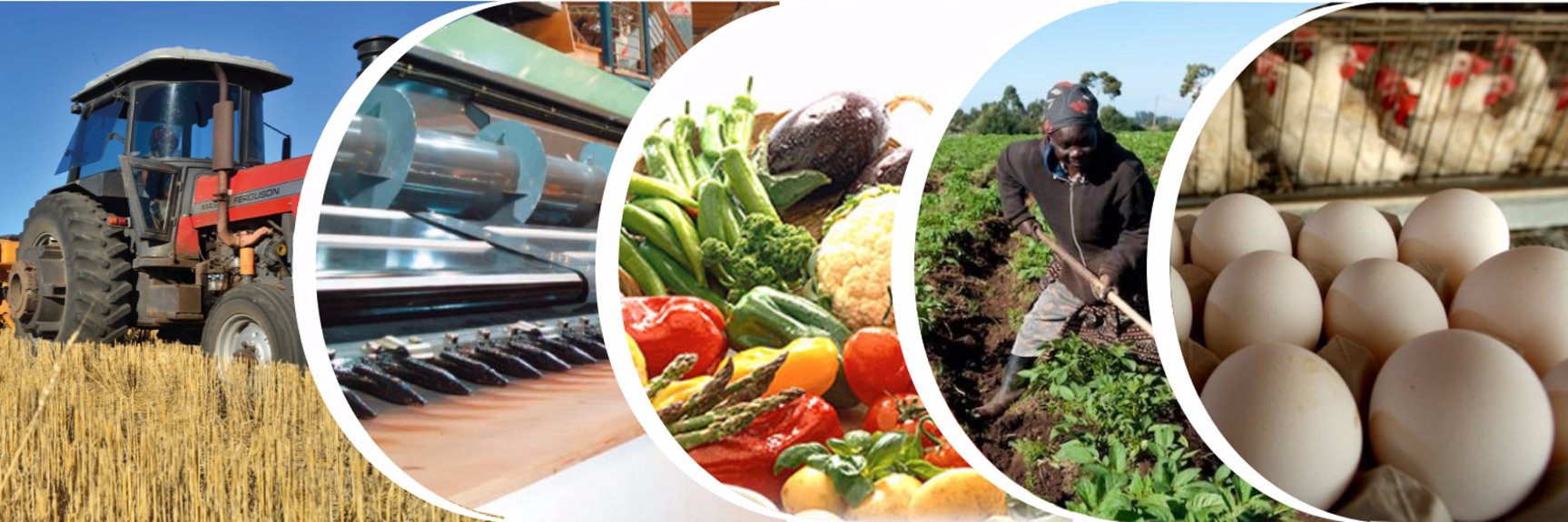 Agribusiness Kenya banner