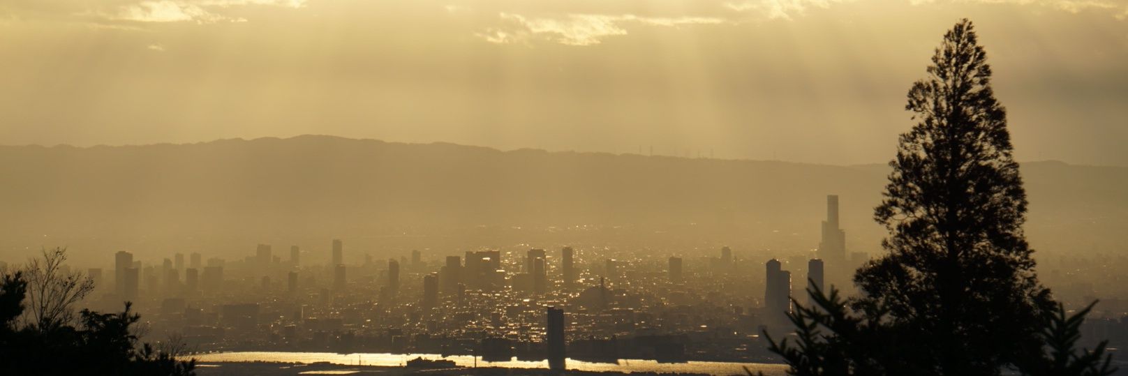 In2Spring's profile banner image