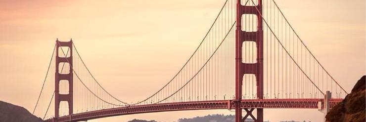 Thanita banner