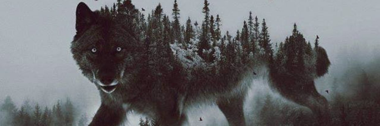 Джейден banner