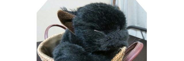 JO2UYM's profile banner image