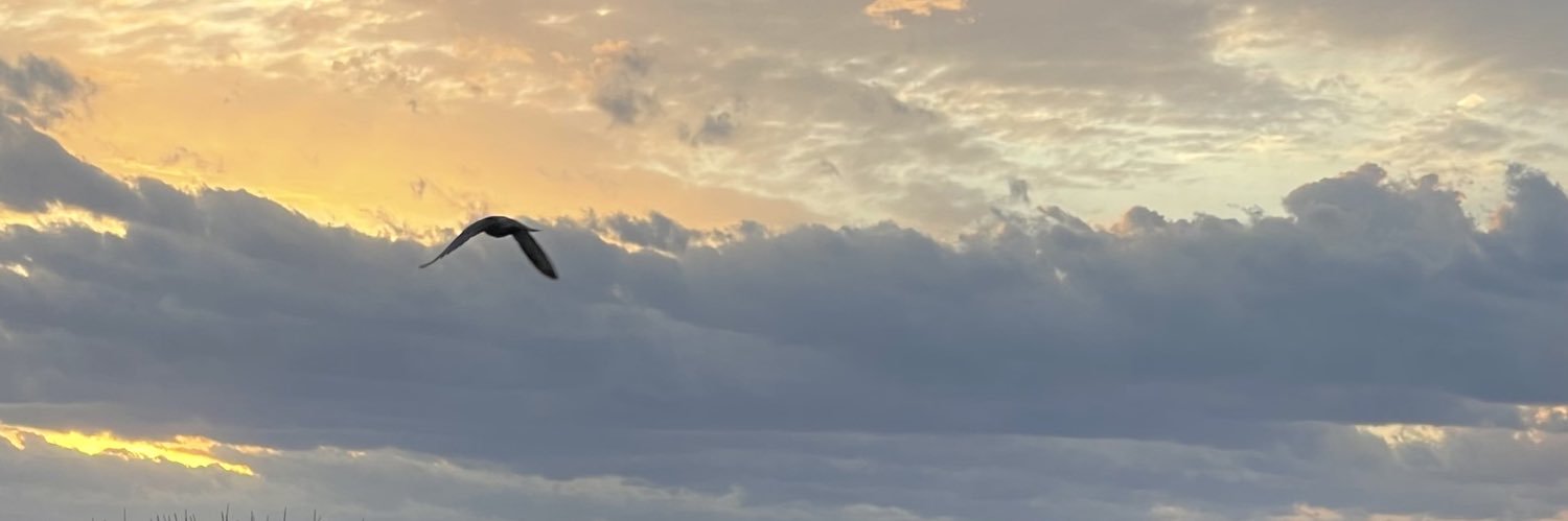antosottile's profile banner image