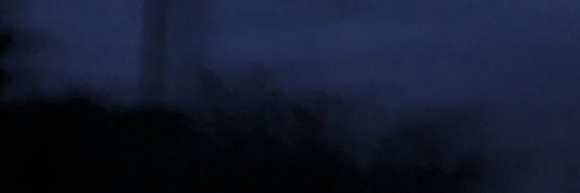 catsarebat's profile banner image