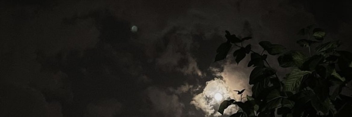 1afa12's profile banner image