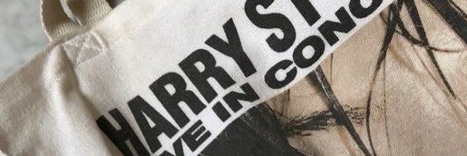 ʚcatalina banner