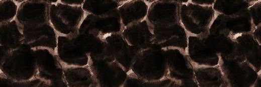 ines timable banner