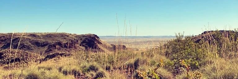 Pilbara Desert Rat (@pilbara_miner) / Posts / X