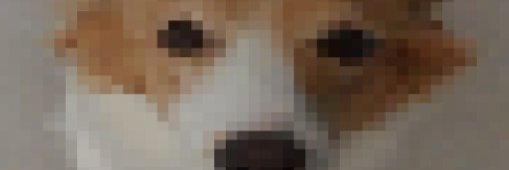 Nanda Suspiro 2v2 spectre da Silva banner