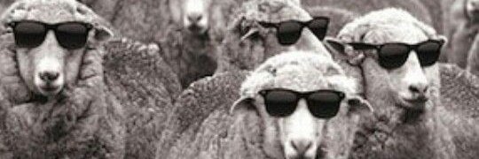FuchHector's profile banner image
