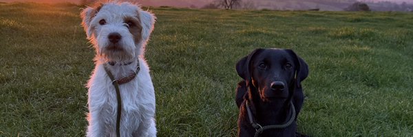 JanineAcrops Profile Banner