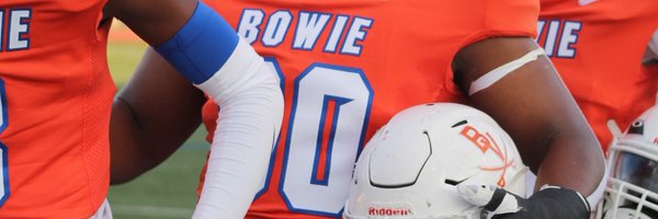 bowievolfb Profile Banner