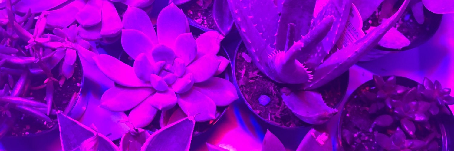 _RenWhite_'s profile banner image
