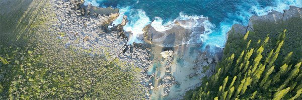 IUCN_BL2030 Profile Banner