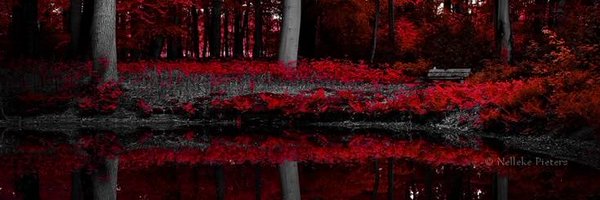 ElFlashiny Profile Banner