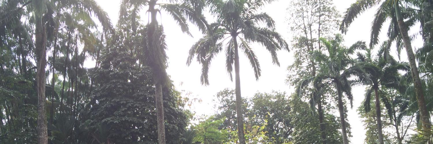 Anders J. Skanderup banner