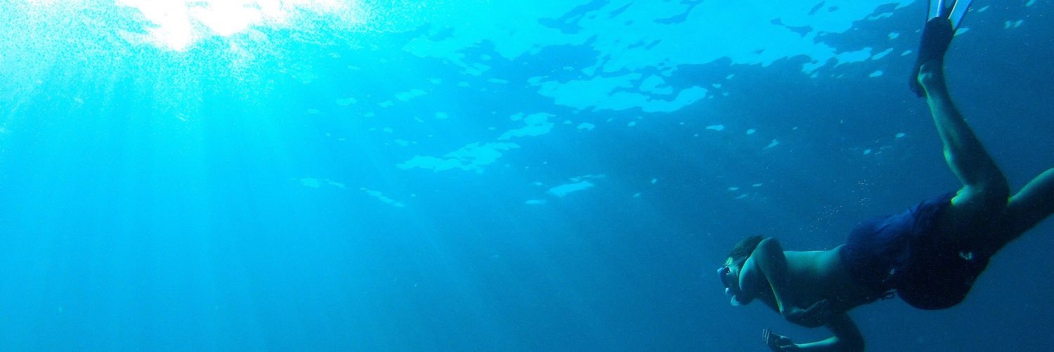 anthias's profile banner image