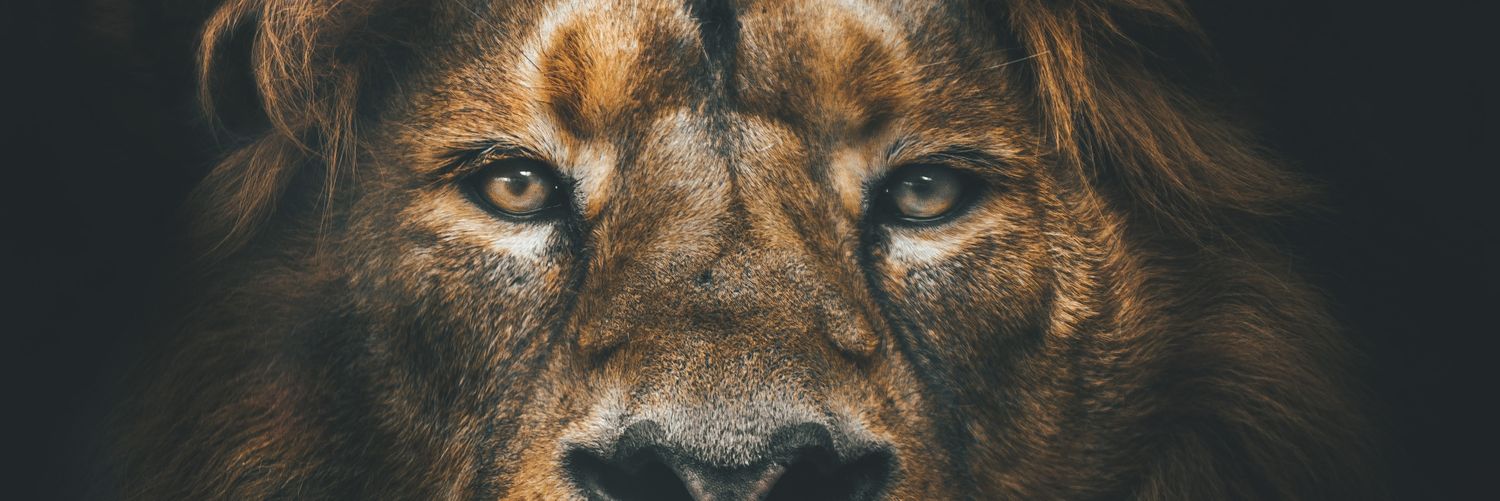 VU2CLE's profile banner image