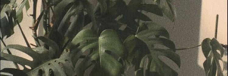 prettyluhso's profile banner image