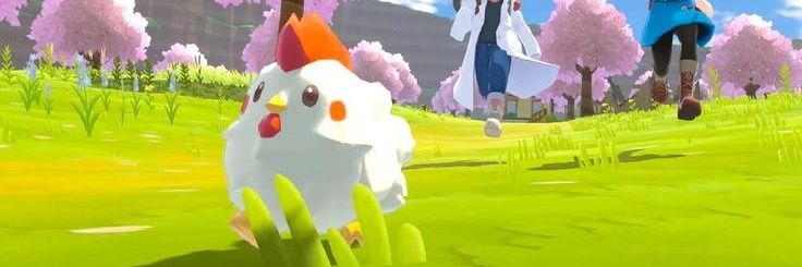 chickenigma's profile banner image
