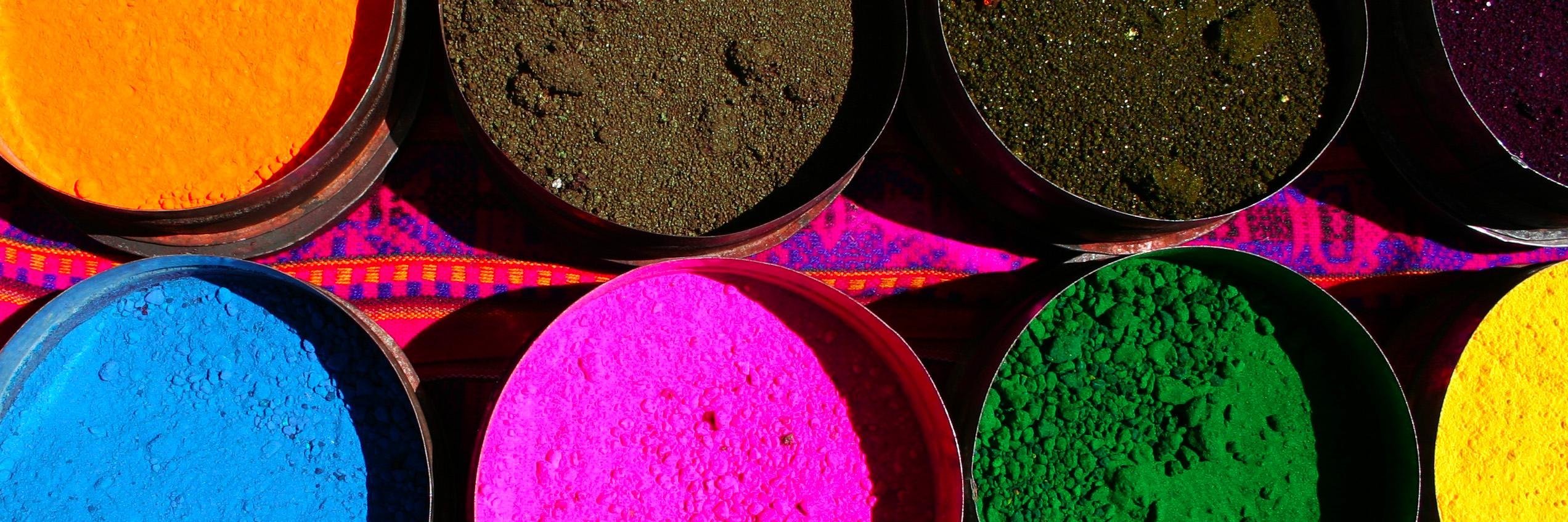 Lorenza Fontana banner