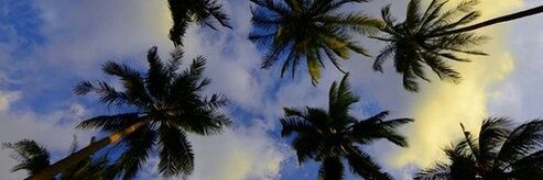 Isa banner