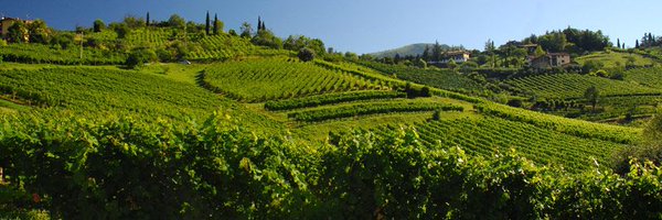 ChiaraVanalli Profile Banner