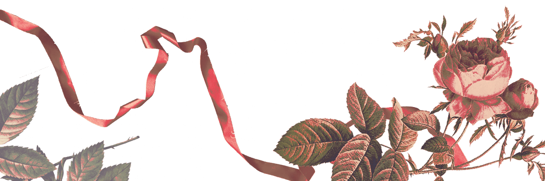 𝐏𝐇𝐀𝐈𝐍𝐎𝐍. banner