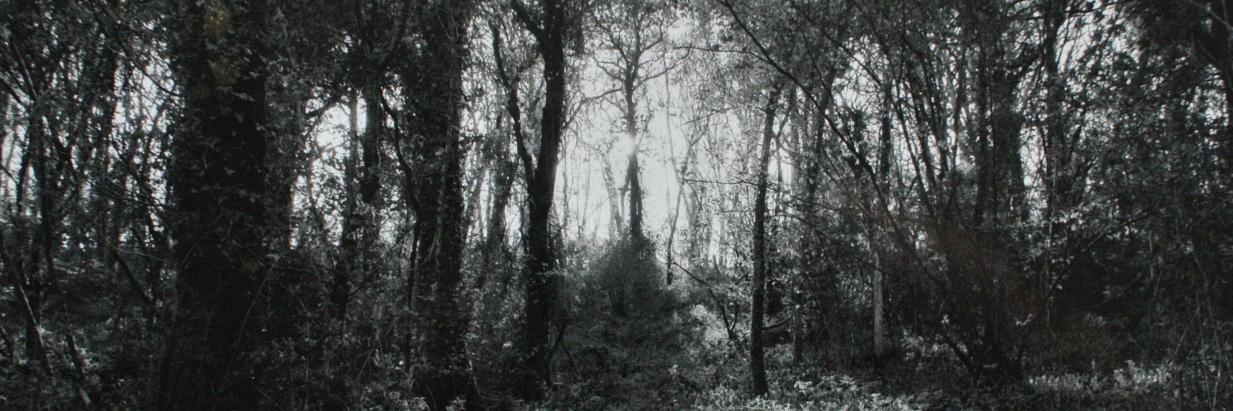 Common Ground banner