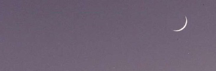 fxamber1998's profile banner image