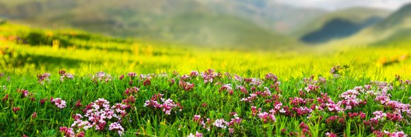 JoinWithCandie Profile Banner
