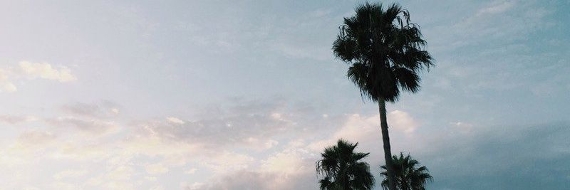 R_Dashal's profile banner image